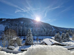 La Bresse Nature and Glisse